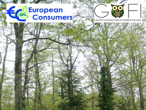 Marco Tiberti, Presidente di European Consumers APS è entrato nel direttivo dei GUFI (Gruppo Unitario Foreste Italiane): una sinergia per l’ambiente!