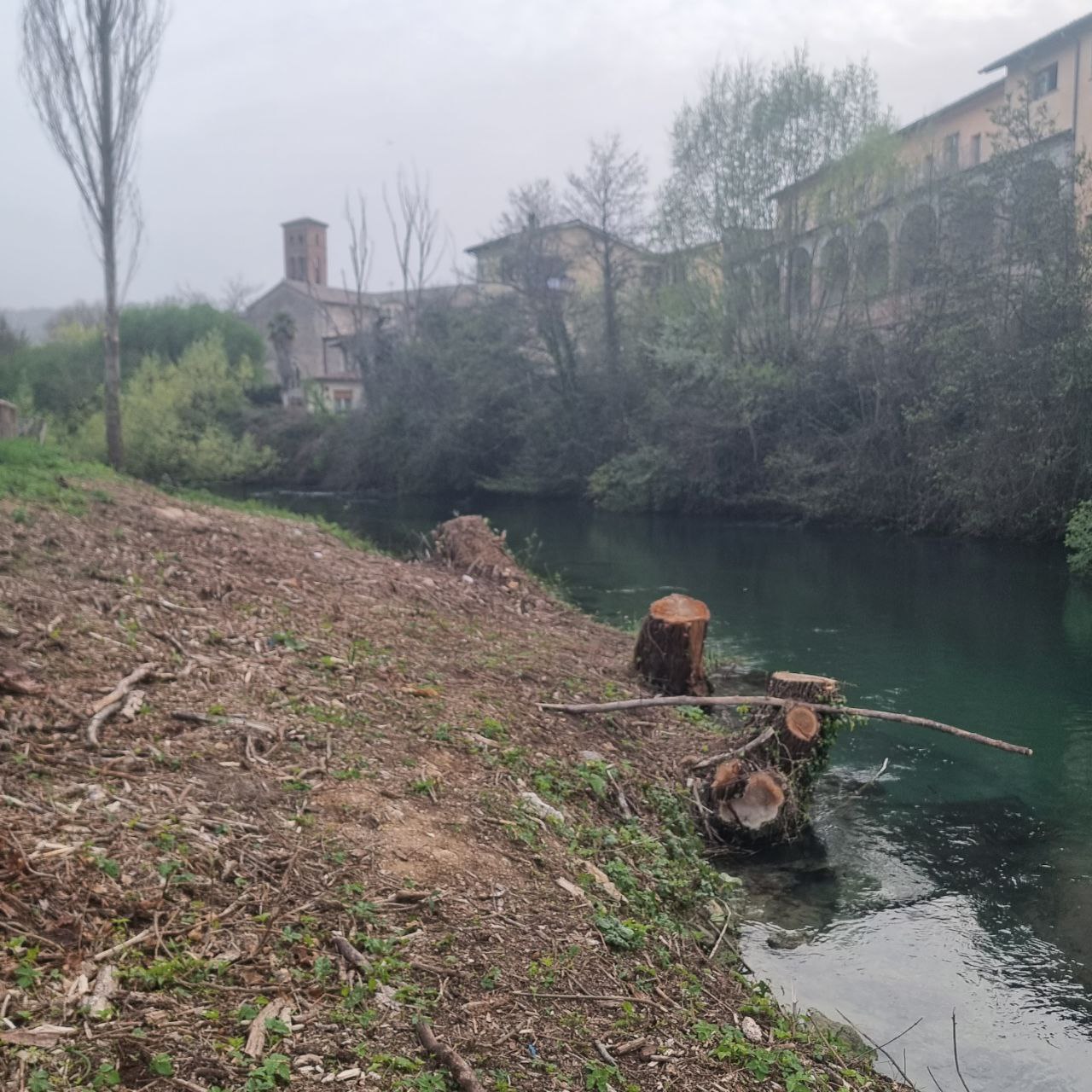 Anche in area urbana continua la distruzione della vegetazione ripariale del fiume Velino!